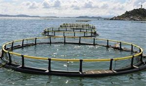 智能化是水产养殖行业发展的趋势之一 海水养殖行业分析