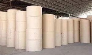 2022浆纸行业市场现状及发展前景分析