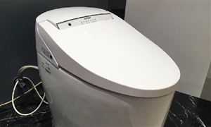 智能马桶行业市场发展现状 智能马桶行业市场发展需求分析