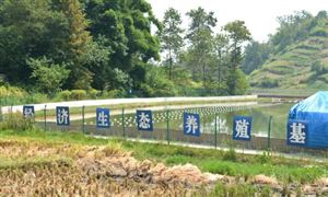 2022集体经济行业发展现状及前景分析