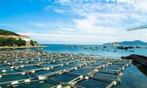 广东明确扶持海洋渔业 海洋渔业发展现状及趋势