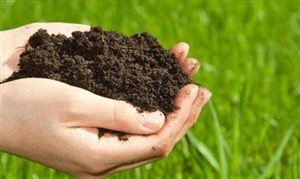 盐碱地怎么改良土壤？盐碱地的形成原因分析 土壤修复行业发展前景预测