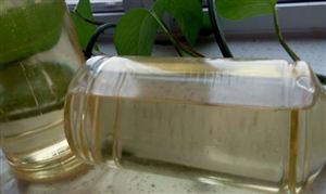 三羟甲基丙烷油酸酯的性能和用途 三羟甲基丙烷油酸酯市场发展现状分析