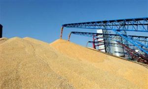 2022粮食物流市场调研及行业浅析