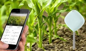 互联网+农业市场现状 互联网+农业市场发展前景分析