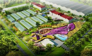 综合农业行业市场现状 综合农业行业市场发展前景分析