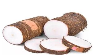 木薯淀粉市场调研 2022木薯行业发展现状分析