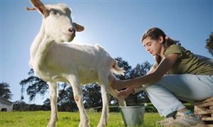 羊奶粉行业现状 羊奶粉市场调查报告