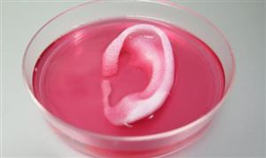 3D生物打印市场现状 行业相关法规仍有待完善