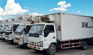 物流冷链市场调研 物流冷链行业分析2022