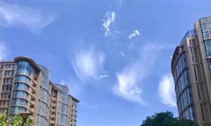 2022居住物业行业研究报告 居住物业市场前瞻分析