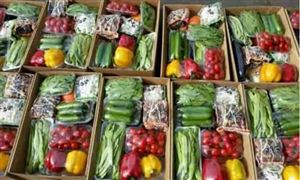 2022农业批发行业市场发展现状及趋势分析