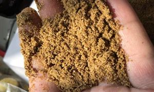 2022生物饲料行业发展现状及前景分析