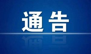 中国有超2.5亿人脱发 假发行业发展潜力分析