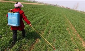 除草剂行业现状分析 除草剂市场调研报告