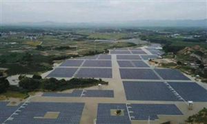 生物质发电将稳步发展 生物质能发电行业发展现状分析