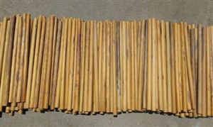 竹材行业现状分析 竹材行业发展前景预测