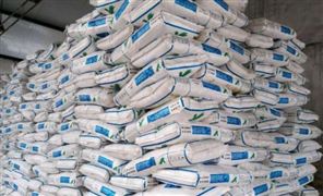 赖氨酸价格跌宕起伏近一年 赖氨酸行业发展前景分析