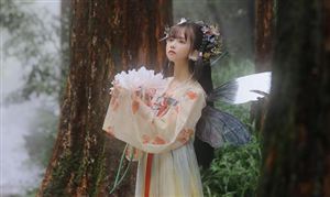 汉服行业市场发展现状 2022汉服行业市场发展前景分析