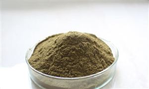 植物提取物发展前景及市场竞争格局分析 中国植物提取物上市公司有哪些？