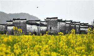 浙江省乡村旅游行业市场发展现状及投资前景分析