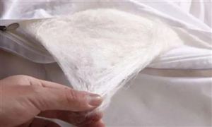 2022年蚕丝被行业市场现状及发展前景分析