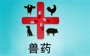 2022中国兽药行业未来发展方向 全球兽药行业公司前十收入情况