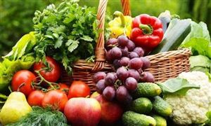 生鲜o2o市场规模 2022生鲜o2o行业报告分析