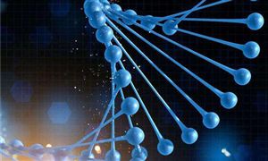 抗菌肽市场规模分析预测 抗菌肽畜牧领域的应用前景