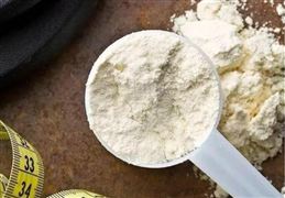 中国蛋白粉产业投资前景基战略规划