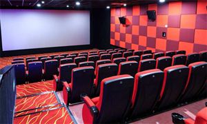 2022元旦档新片总票房(含预售)破12亿 中国电影总票房和银幕数量分析