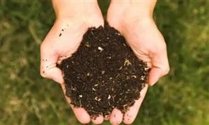 2022年有机肥料行业需求及市场行情分析