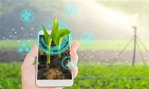 2022年数字农业行业发展前景及市场规模调研分析