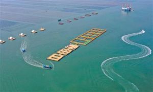 “十四五”大连大力发展海洋牧场 中国海洋牧场现状分析及未来发展规划