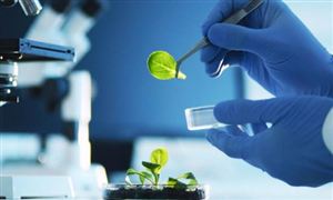 医药CMO行业现状分析 生物药物CMO或成行业主要驱动力