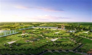 2022年生态农业行业发展前景及市场规模分析