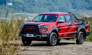 2022年皮卡行业发展趋势及市场建议分析