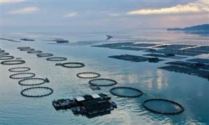 “十四五”福建省海洋经济发展规划 2025年基本建成海洋强省 福建水产品发展前景及投资分析
