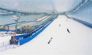 冬奥会为我国冰雪产业发展带来重大机遇 室内滑雪场行业发展现状分析