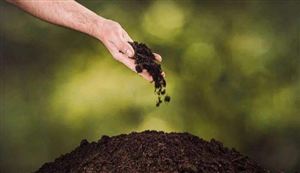 2022生物肥料市场前景及未来发展机遇