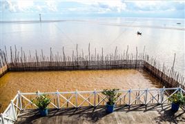 水产饲料总产量及行业集中度 2022水产饲料龙头企业未来发展空间