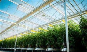 2022年中央一号文件发布 2022新型农业发展前景及市场投资机会分析