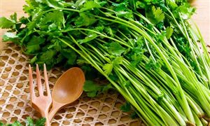 今天是世界讨厌香菜日 全球大约有15%的人不吃香菜