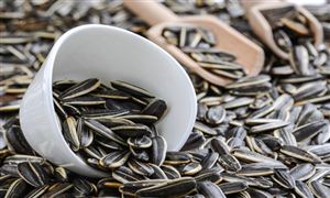 2022年瓜子行业发展前景及市场规模分析