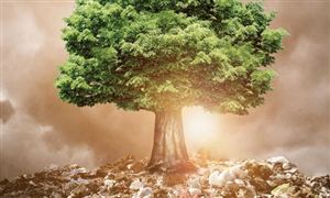 可降解塑料市场需求或扩大 生态塑料市场投资前景分析