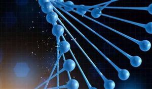 抗菌肽行业市场规模 抗菌肽发展前景