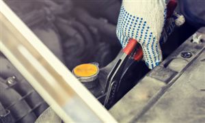 2021年中国劳动力市场恢复性增长 社会保障制度不断完善