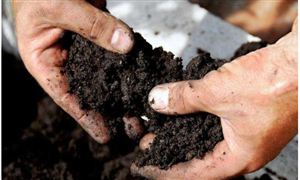 中国污泥处理市场需求有多大 2022年污泥处理行业前景分析报告