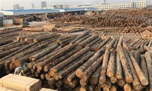 木材加工行业现状分析 木材加工行业前景展望