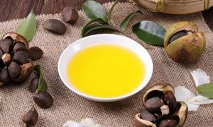 中国山茶油产业发展前景及投资规划分析